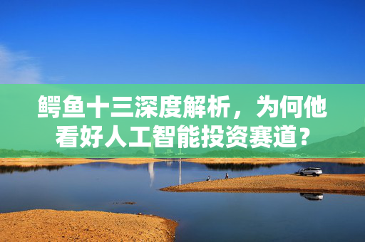 鳄鱼十三深度解析，为何他看好人工智能投资赛道？