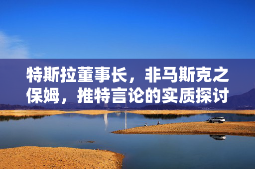 特斯拉董事长，非马斯克之保姆，推特言论的实质探讨
