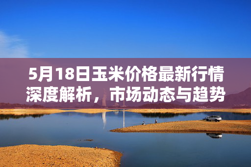 5月18日玉米价格最新行情深度解析，市场动态与趋势分析