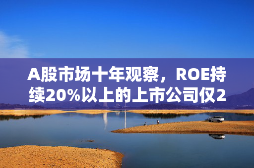 A股市场十年观察，ROE持续20%以上的上市公司仅20家