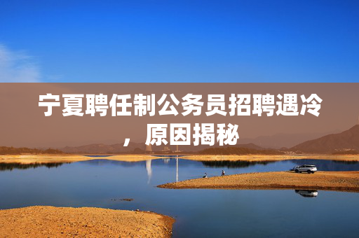 宁夏聘任制公务员招聘遇冷，原因揭秘