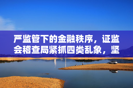 严监管下的金融秩序，证监会稽查局紧抓四类乱象，坚守五大执法方向促进市场健康发展