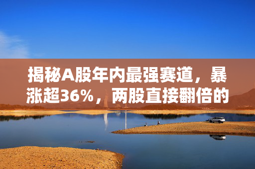 揭秘A股年内最强赛道，暴涨超36%，两股直接翻倍的投资逻辑
