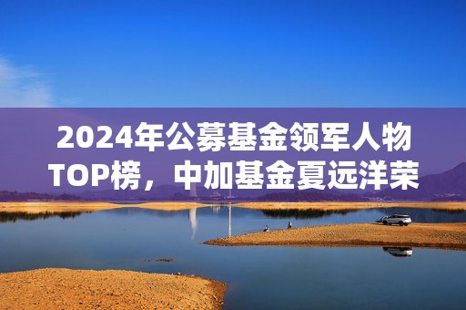2024年公募基金领军人物TOP榜，中加基金夏远洋荣登第58位，崭露头角