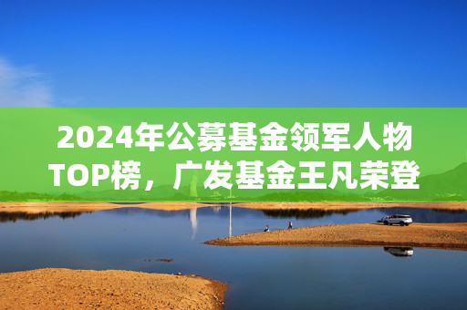 2024年公募基金领军人物TOP榜，广发基金王凡荣登第11位