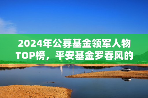 2024年公募基金领军人物TOP榜，平安基金罗春风的崛起与未来展望