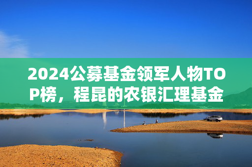 2024公募基金领军人物TOP榜，程昆的农银汇理基金崛起之路