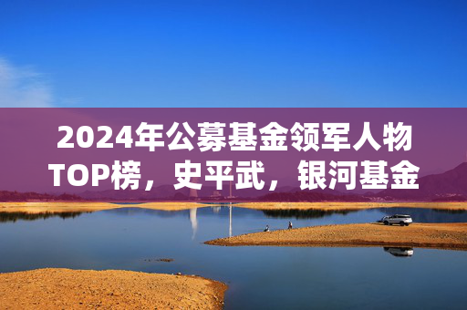 2024年公募基金领军人物TOP榜，史平武，银河基金的璀璨新星