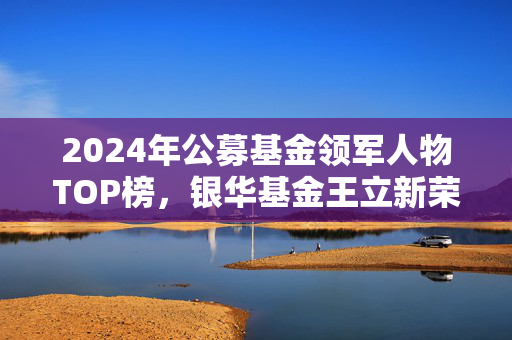 2024年公募基金领军人物TOP榜，银华基金王立新荣登第九位