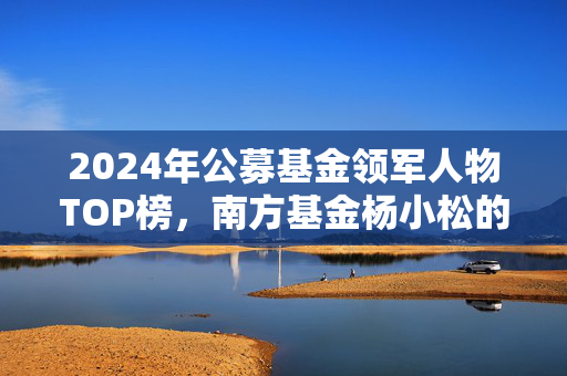 2024年公募基金领军人物TOP榜，南方基金杨小松的崛起之路