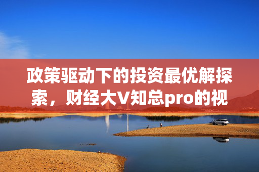 政策驱动下的投资最优解探索，财经大V知总pro的视角