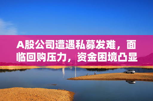 A股公司遭遇私募发难，面临回购压力，资金困境凸显