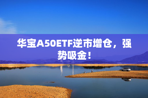 华宝A50ETF逆市增仓，强势吸金！