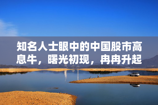 知名人士眼中的中国股市高息牛，曙光初现，冉冉升起