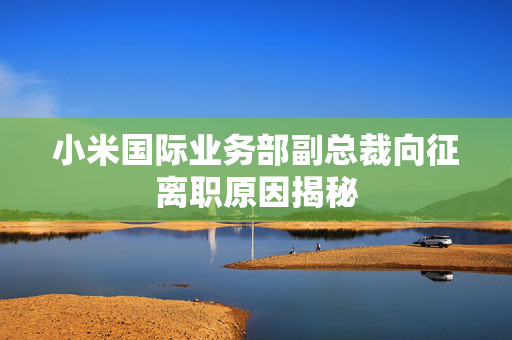小米国际业务部副总裁向征离职原因揭秘