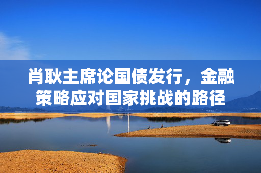 肖耿主席论国债发行，金融策略应对国家挑战的路径