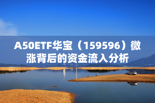 A50ETF华宝（159596）微涨背后的资金流入分析