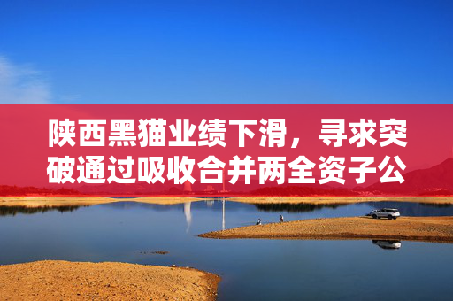 陕西黑猫业绩下滑，寻求突破通过吸收合并两全资子公司