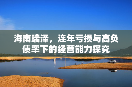 海南瑞泽，连年亏损与高负债率下的经营能力探究