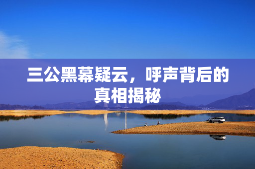 三公黑幕疑云，呼声背后的真相揭秘