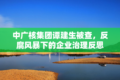 中广核集团谭建生被查，反腐风暴下的企业治理反思