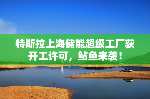 特斯拉上海储能超级工厂获开工许可，鲇鱼来袭！