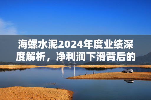 海螺水泥2024年度业绩深度解析，净利润下滑背后的挑战与机遇