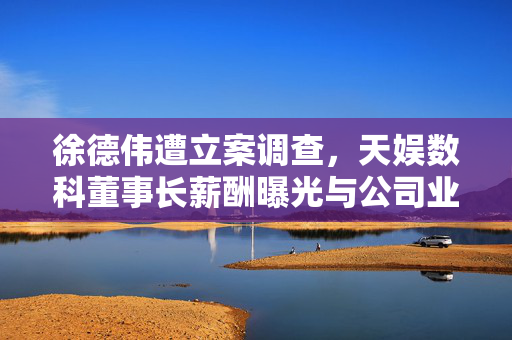 徐德伟遭立案调查，天娱数科董事长薪酬曝光与公司业绩亏损超十亿的背后