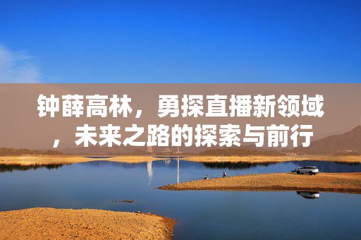 钟薛高林，勇探直播新领域，未来之路的探索与前行