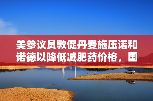 美参议员敦促丹麦施压诺和诺德以降低减肥药价格，国际医药市场新挑战与消费者权益维护的探讨
