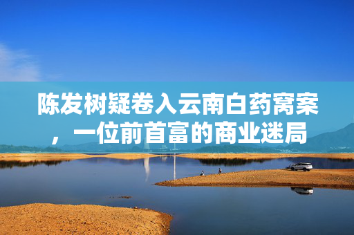 陈发树疑卷入云南白药窝案，一位前首富的商业迷局