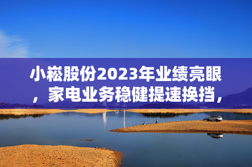 小崧股份2023年业绩亮眼，家电业务稳健提速换挡，营收达16.04亿元