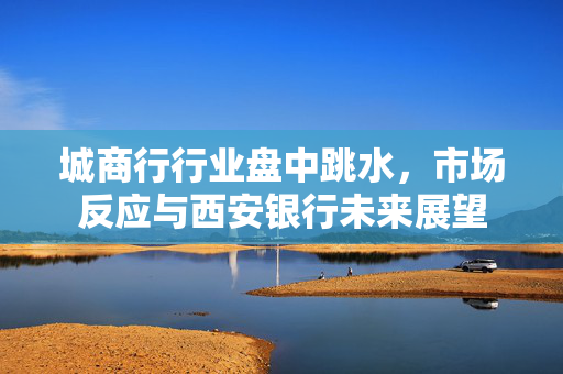 城商行行业盘中跳水，市场反应与西安银行未来展望