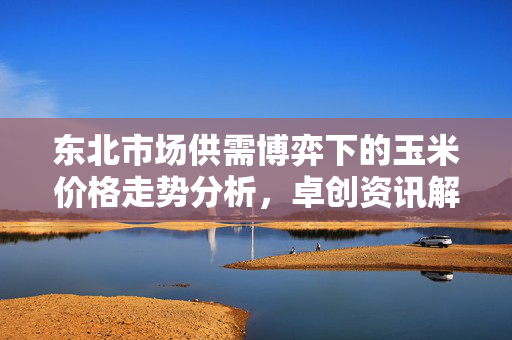 东北市场供需博弈下的玉米价格走势分析，卓创资讯解读