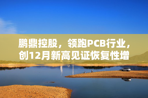 鹏鼎控股，领跑PCB行业，创12月新高见证恢复性增长