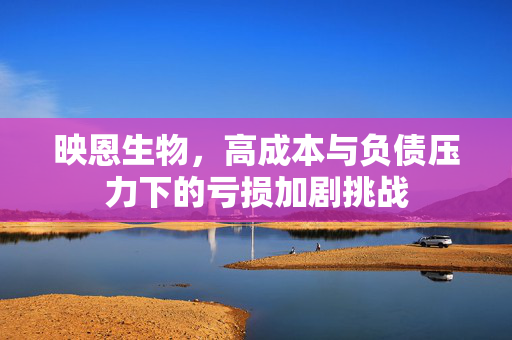 映恩生物，高成本与负债压力下的亏损加剧挑战