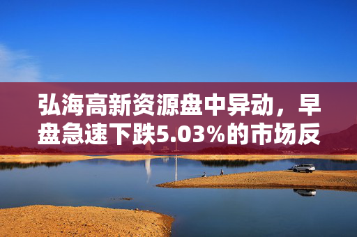 弘海高新资源盘中异动，早盘急速下跌5.03%的市场反应与深度解析