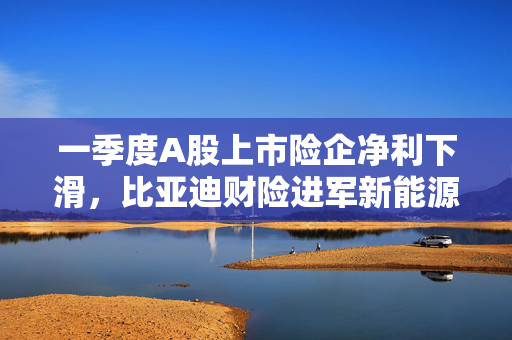 一季度A股上市险企净利下滑，比亚迪财险进军新能源车险市场
