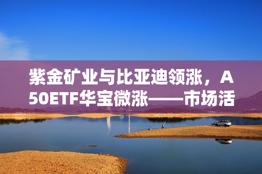 紫金矿业与比亚迪领涨，A50ETF华宝微涨——市场活跃度与交易额深度解析