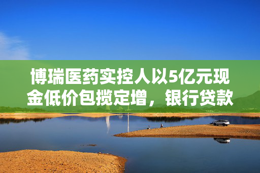 博瑞医药实控人以5亿元现金低价包揽定增，银行贷款压力下的新出路