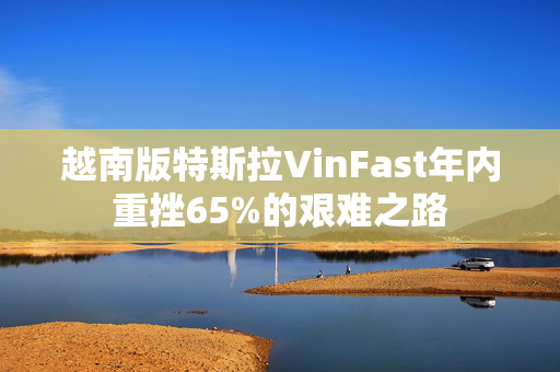 越南版特斯拉VinFast年内重挫65%的艰难之路