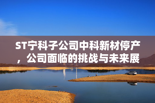 ST宁科子公司中科新材停产，公司面临的挑战与未来展望