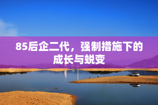 85后企二代，强制措施下的成长与蜕变