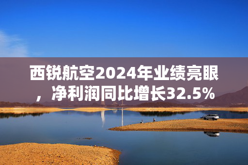 西锐航空2024年业绩亮眼，净利润同比增长32.5%