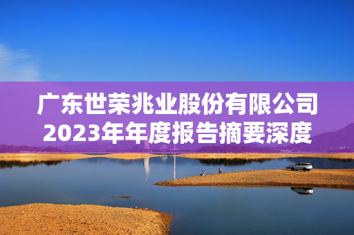 广东世荣兆业股份有限公司2023年年度报告摘要深度解析