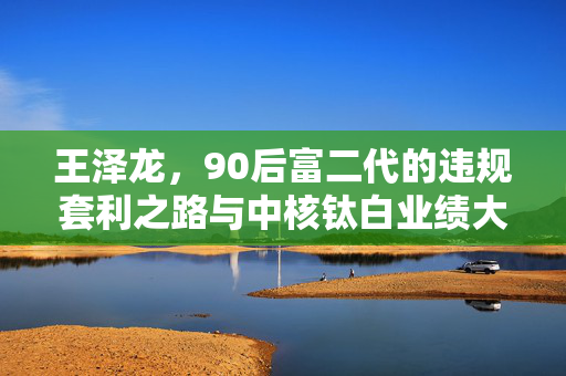 王泽龙，90后富二代的违规套利之路与中核钛白业绩大跌的深层次解析