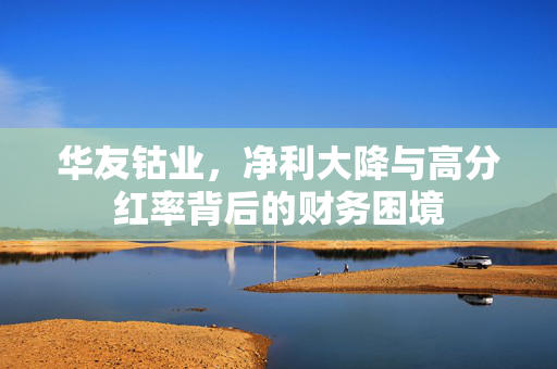 华友钴业，净利大降与高分红率背后的财务困境