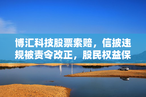 博汇科技股票索赔，信披违规被责令改正，股民权益保障之路