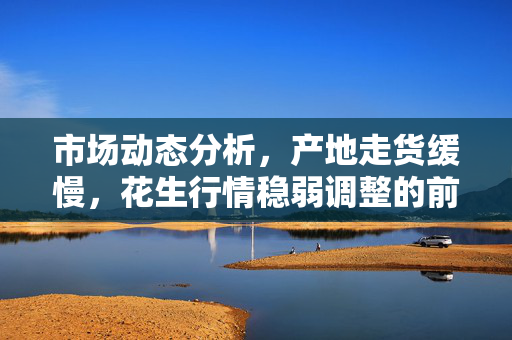 市场动态分析，产地走货缓慢，花生行情稳弱调整的前景展望