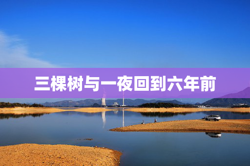 三棵树与一夜回到六年前